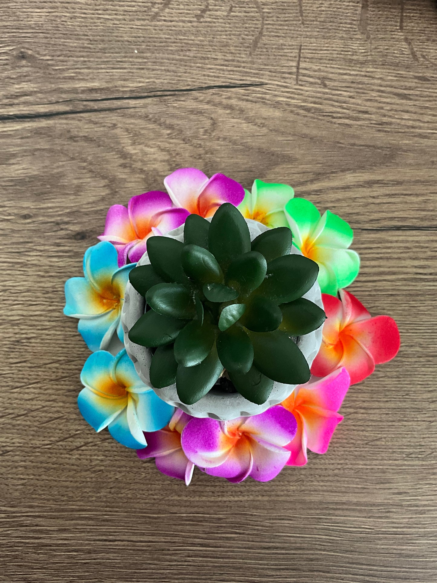 Hair clip (small size)