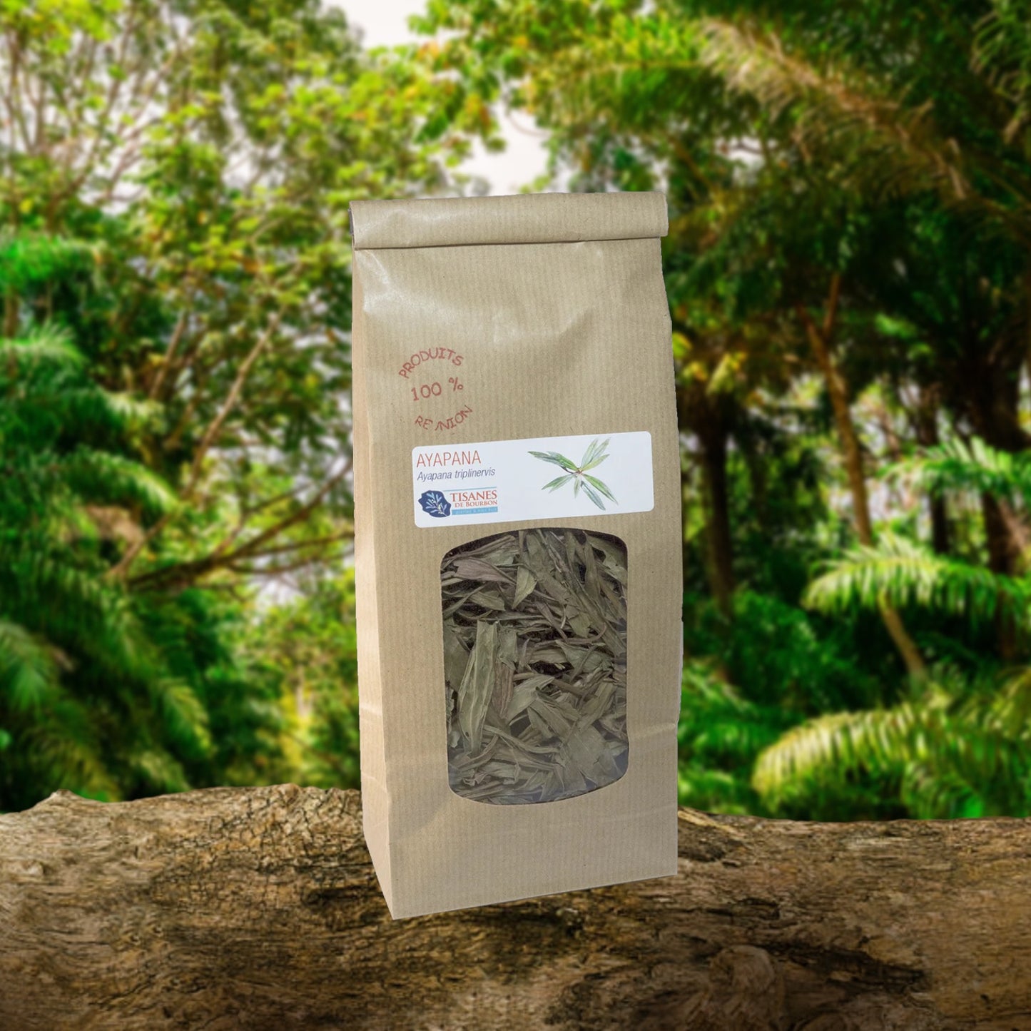 Ayapana (Ayapana triplinervis), dried leaves, 40g