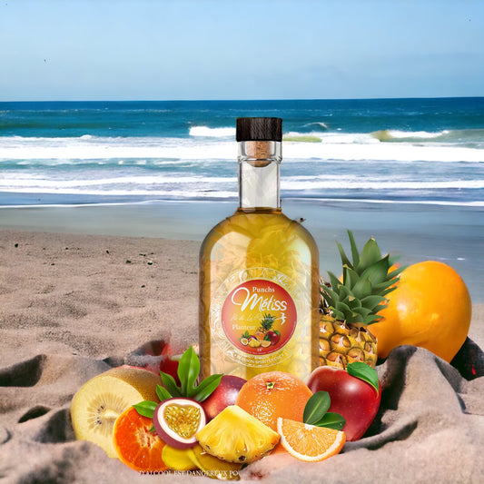 Métiss Rum - Punch Planteur 35cl, 18°